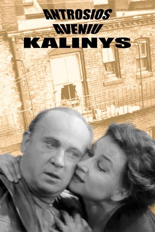 Пленник второй авеню poster