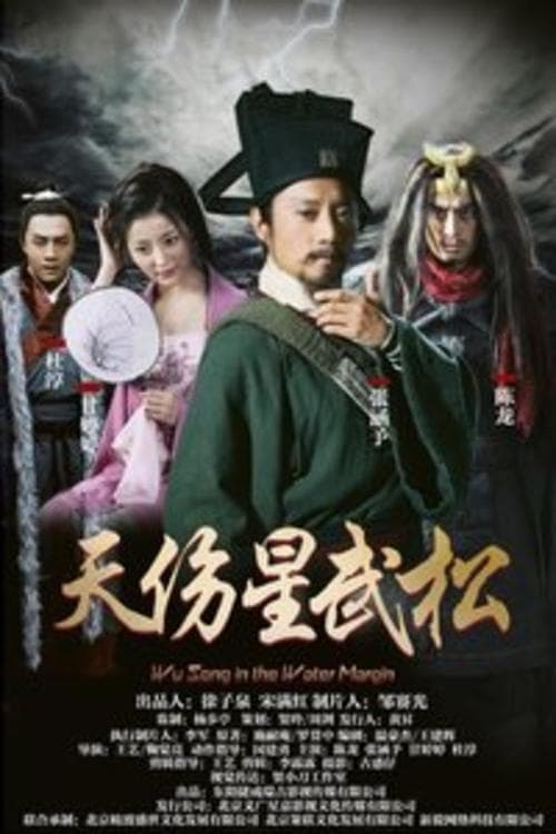 天伤星武松 poster