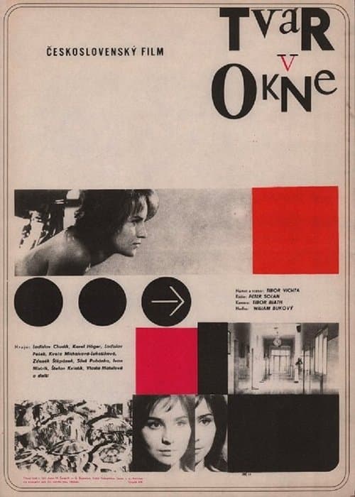 Tvár v okne poster