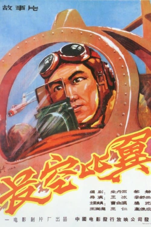 長空比翼 poster