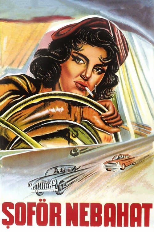 Şoför Nebahat poster