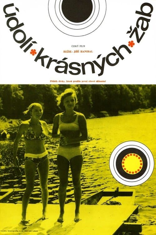 Údolí krásných žab poster