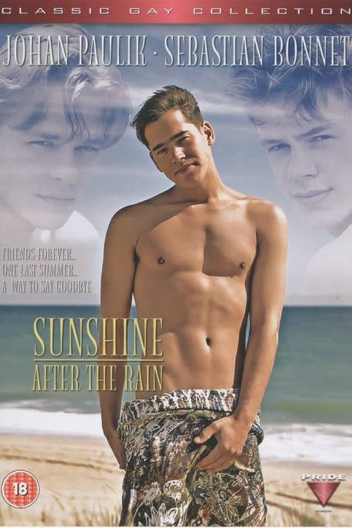 Sunshine After the Rain poster