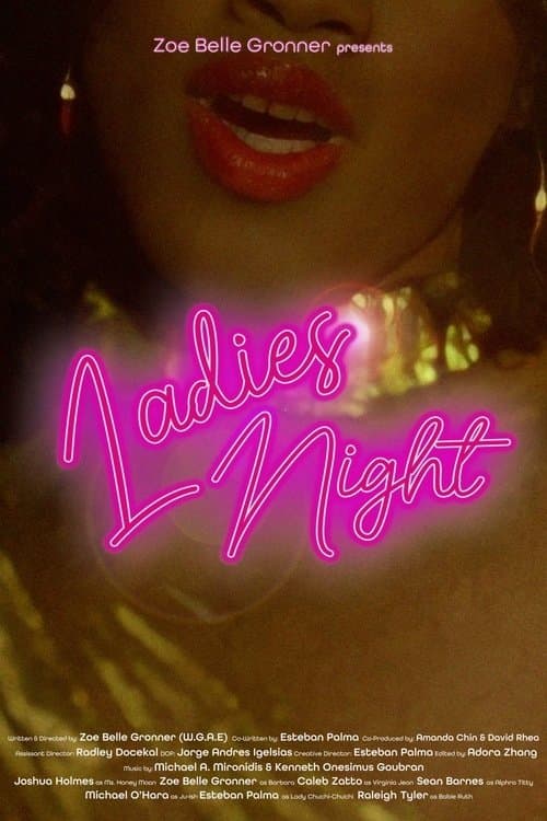 Ladies Night poster