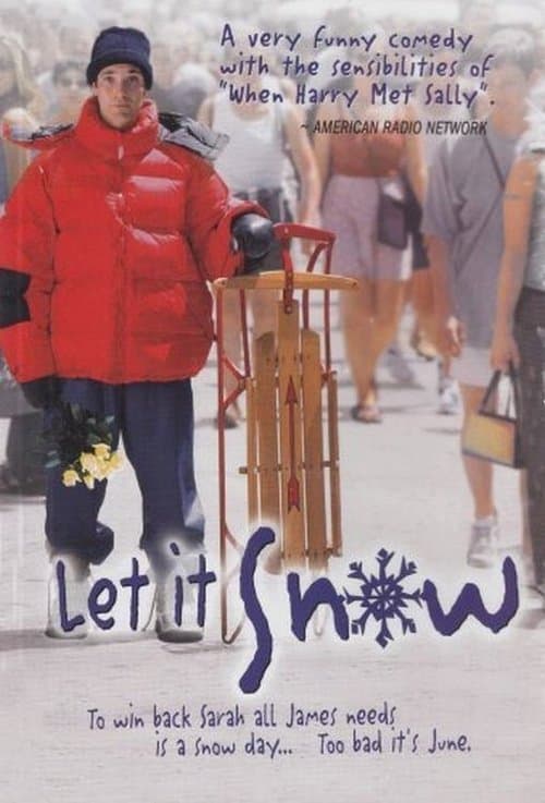 Snow Days poster