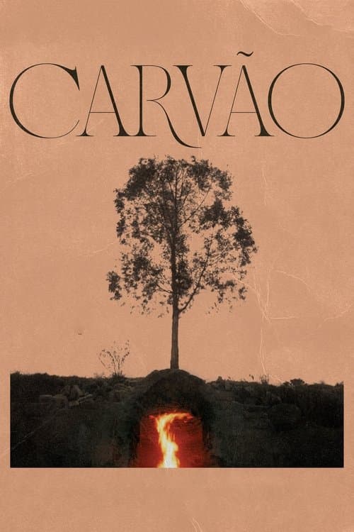 Carvão poster