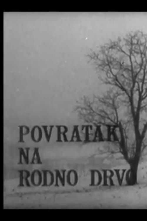 Povratak na rodno drvo poster