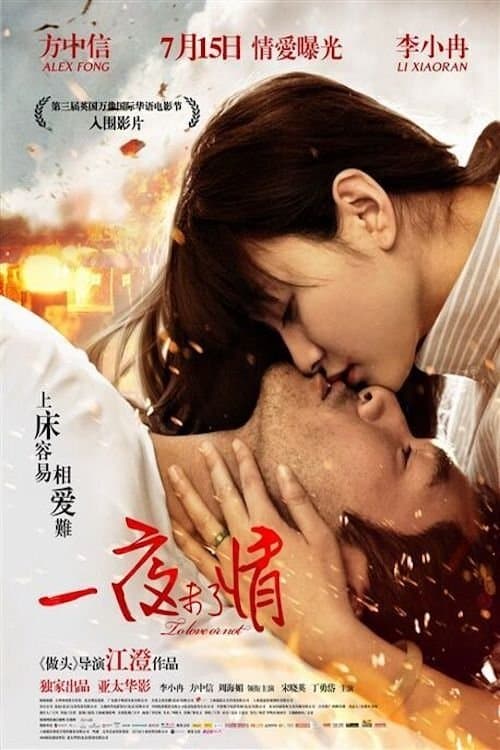一夜未了情 poster