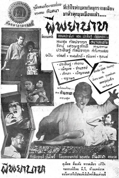 ผีพยาบาท poster