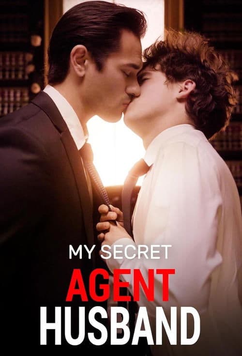 My Secret Agent Husband poster