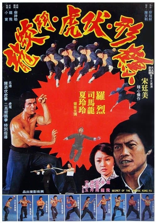 鶴形伏虎鬥蚊龍 poster