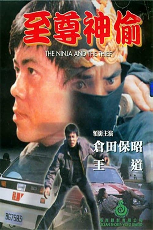 至尊神偷 poster