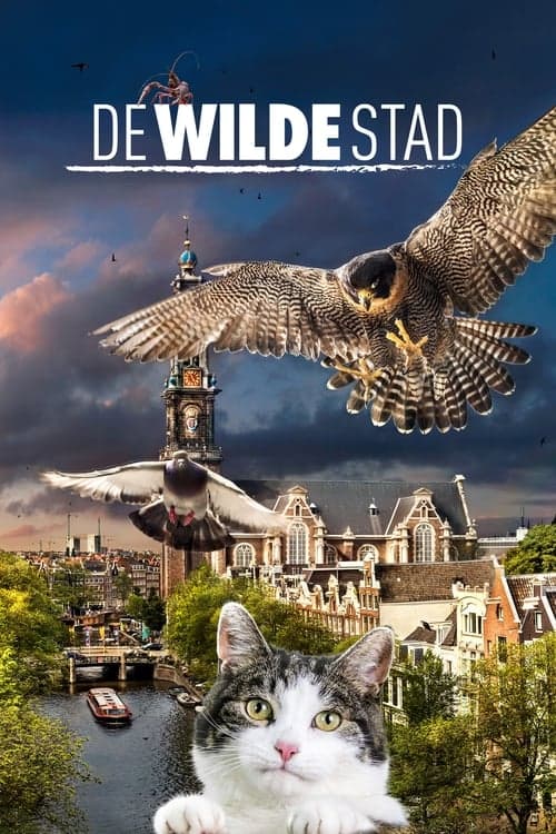 Amsterdam: Streifzug auf Katzenpfoten poster