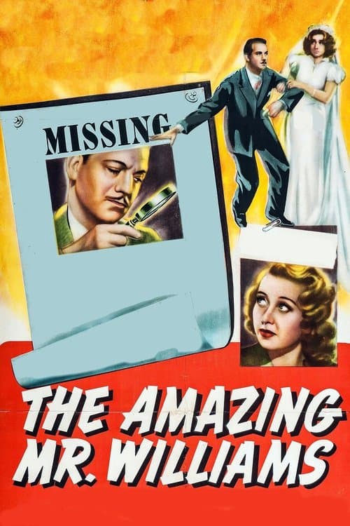 The Amazing Mr. Williams poster