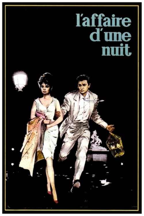 L'Affaire d'une nuit poster