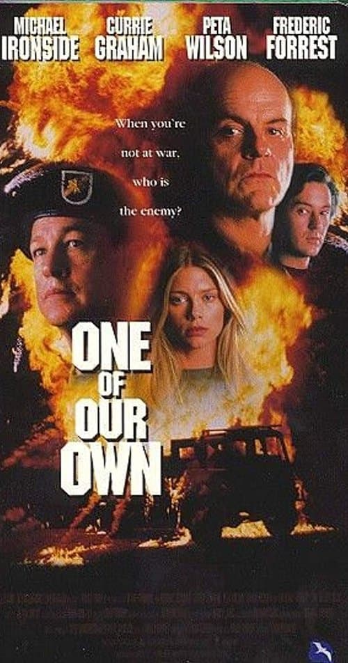 Denver P.D. - Die Kriegsteufel poster