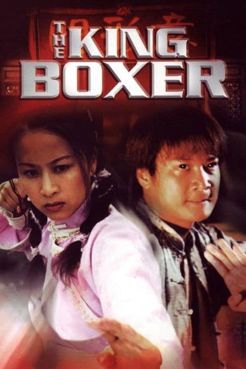 天下無敵掌門人 poster