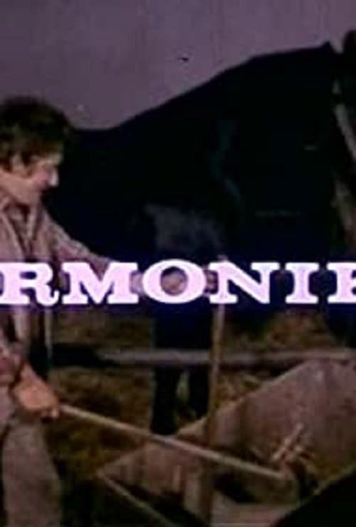 Harmonika poster