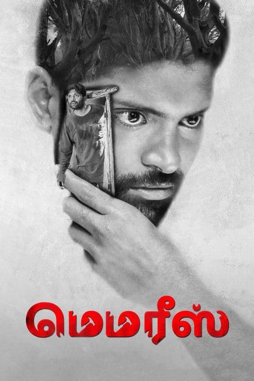 மெமரீஸ் poster