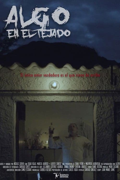 Algo en el tejado poster