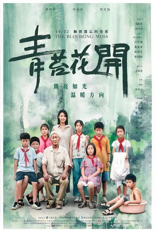 青苔花开 poster