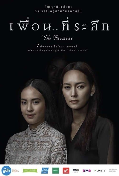 เพื่อน..ที่ระลึก poster