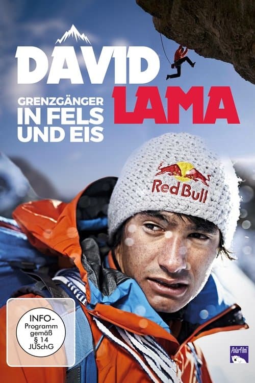 David Lama - Das Unmögliche Möglich Machen poster