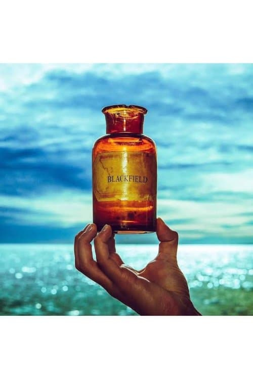 Blackfield V poster