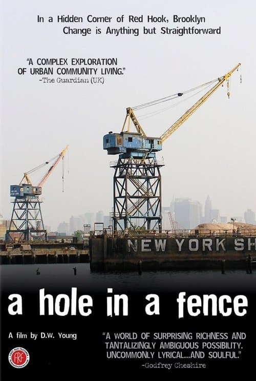 A Hole in a Fence poster