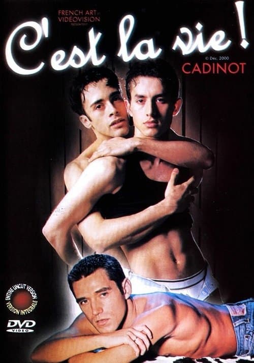 C'est la vie poster
