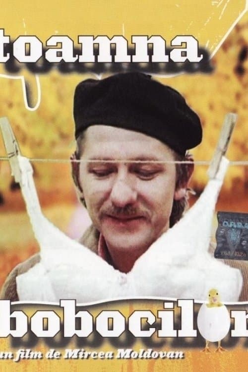 Toamna bobocilor poster