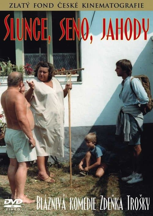 Slunce, seno, jahody poster
