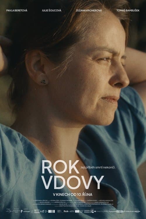 Rok vdovy poster