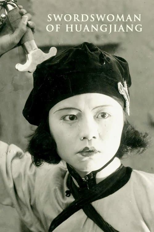 荒江女俠 poster