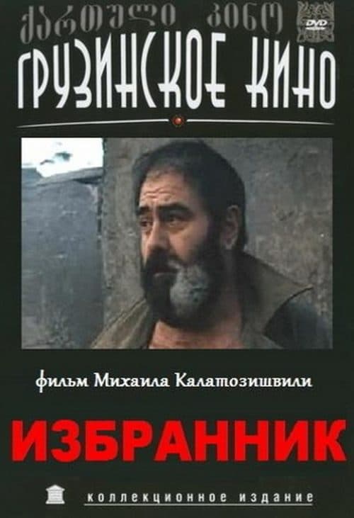 რჩეული poster