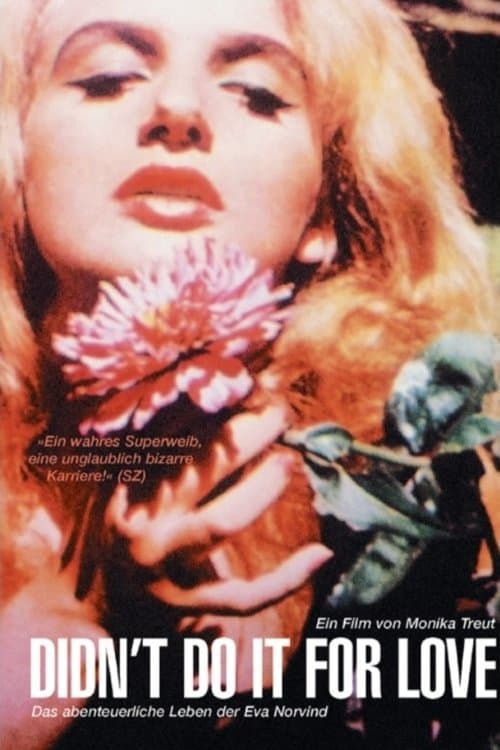 Didn't Do It For Love poster