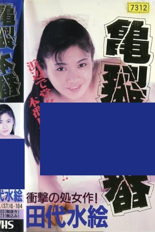 田代水絵　ザ・本番アクメ　おいしい水の作り方 poster