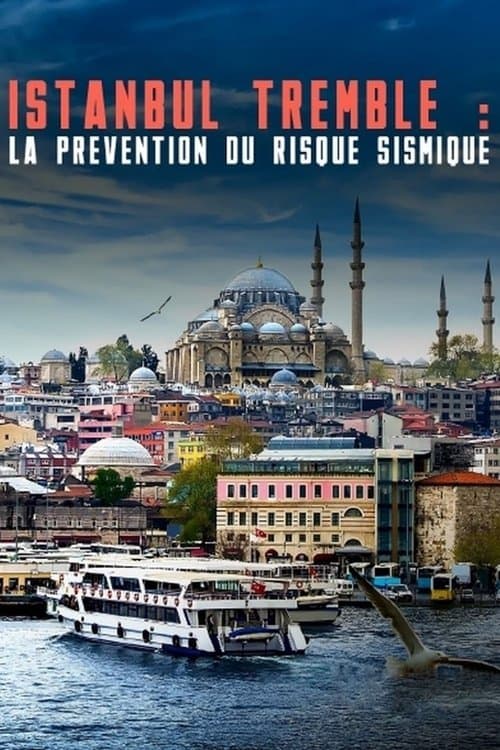 Istanbul bebt: Risiko und Frühwarnung poster
