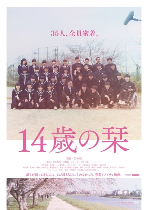 14歳の栞 poster