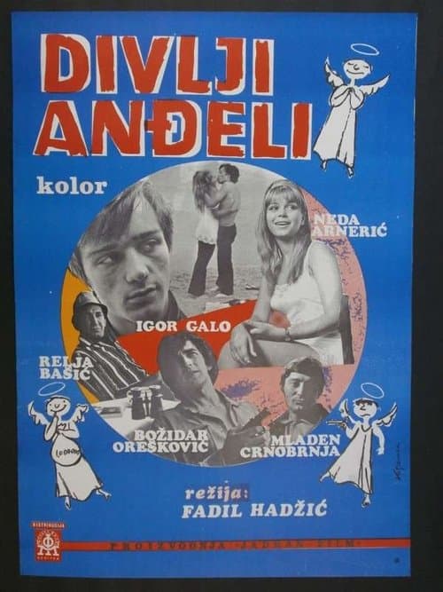 Divlji anđeli poster