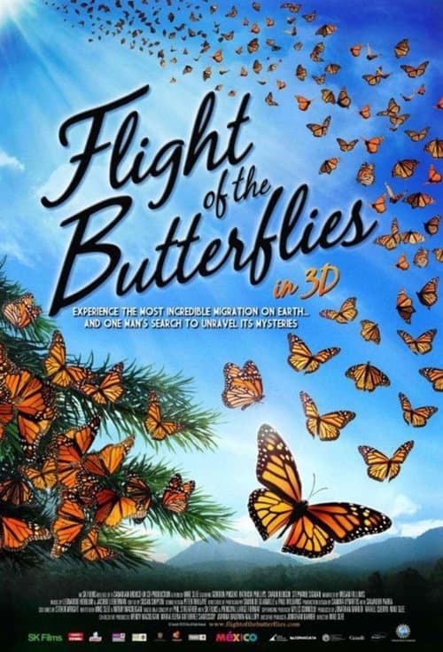 Der Flug des Schmetterlings poster
