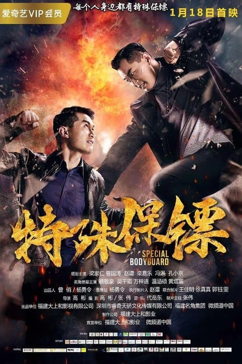 特殊保镖 poster