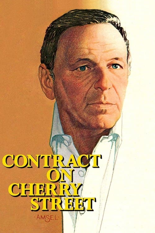 Das Cherry-Street-Fiasko poster