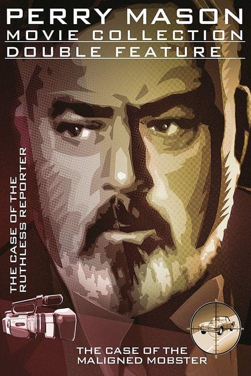 Perry Mason und die skrupellose Sensationsreporterin poster