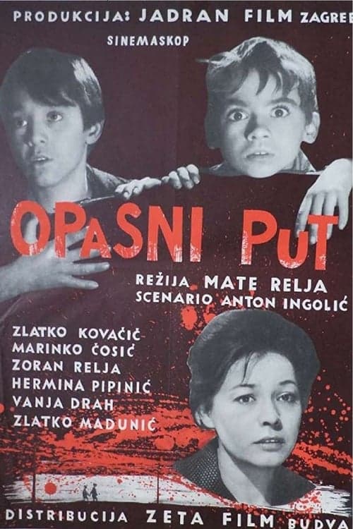 Opasni put poster