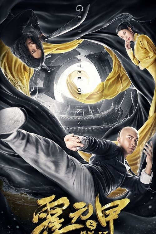 霍元甲之精武天下 poster