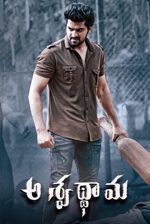 అశ్వథామ poster
