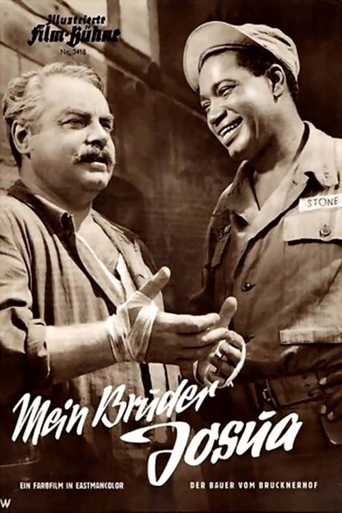 Der Bauer vom Brucknerhof poster