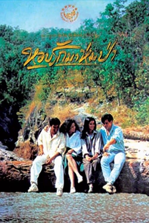 หอบรักมาห่มป่า poster