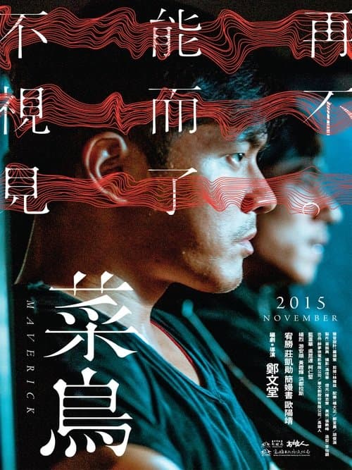 菜鳥 poster